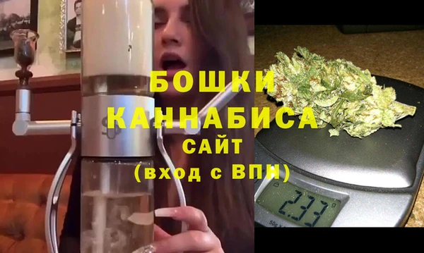 индика Баксан